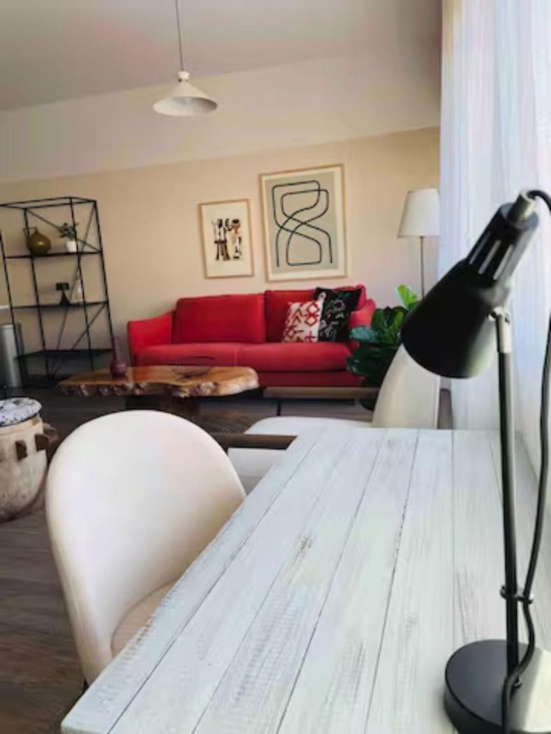 Appartement 50M Du Centre Historique 萨尔拉拉卡内达 外观 照片