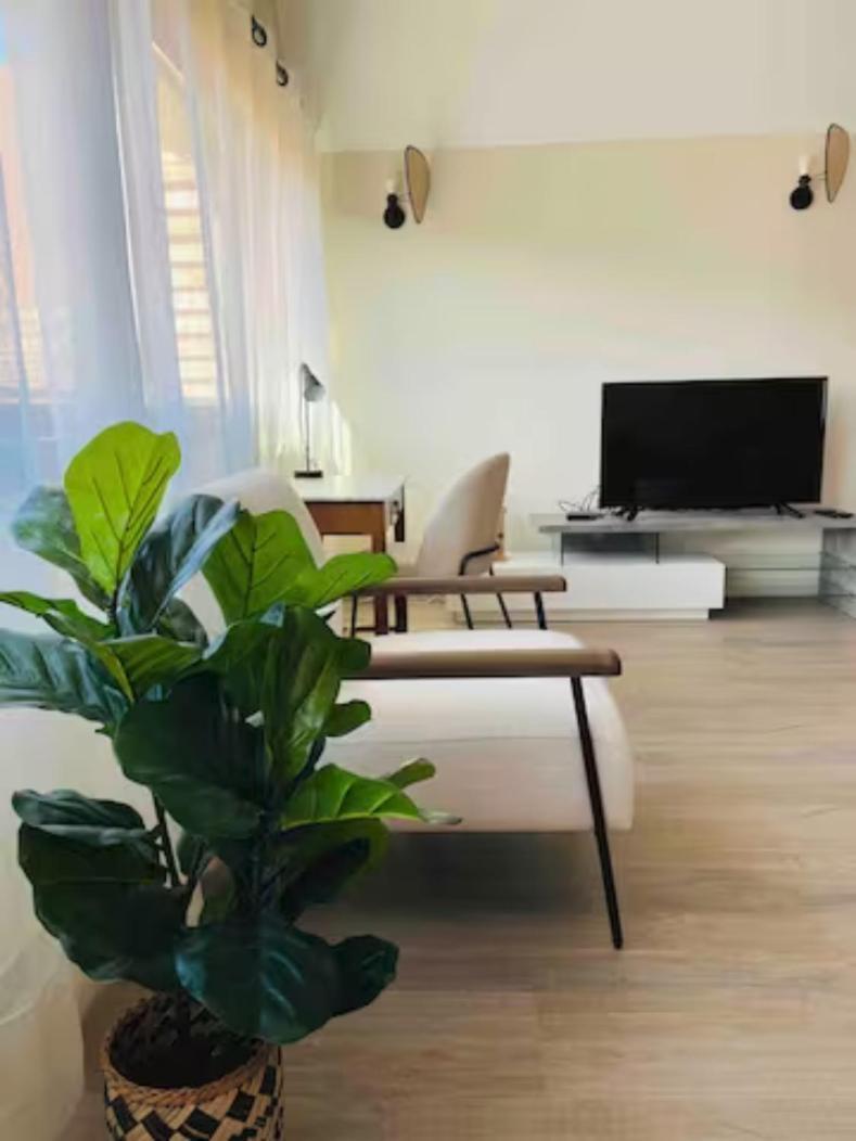 Appartement 50M Du Centre Historique 萨尔拉拉卡内达 外观 照片