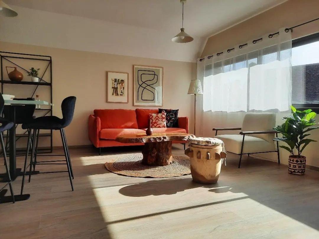 Appartement 50M Du Centre Historique 萨尔拉拉卡内达 外观 照片
